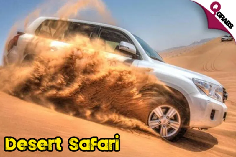 From QR110 Child/QR160 Adult, Explore the Desert with a Half Day Safari Adventure With OR Without Camel Rides! (Up to QR300/QR400 Value)